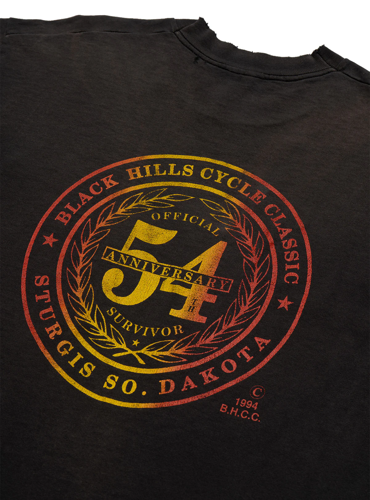 2066-vintage-black-hills-cycle-classic-1994-tee-6.webp Vintage Black Hills Cycle Classic 1994 Tee